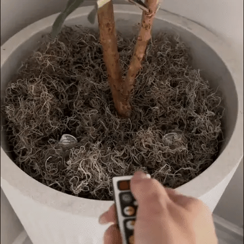 Pflanzenlampe LED kabellos mit Timer