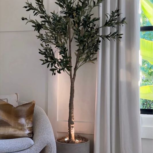 Pflanzenlampe LED kabellos mit Timer