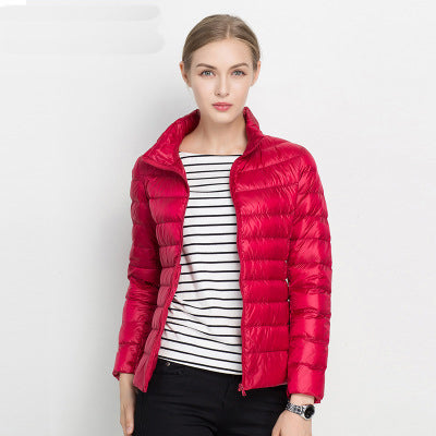 Leichte Damen-Daunenjacke mit Stehkragen für Frühling und Übergangszeit